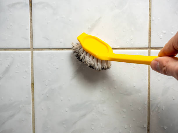 Best Attic Mold Removal  in Iva, SC