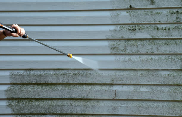 Mold Removal Process in Iva, SC