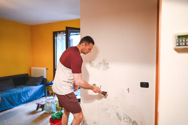Best Residential Mold Removal  in Iva, SC